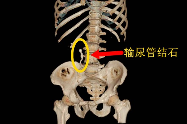 微信图片_20250106142941_副本.jpg